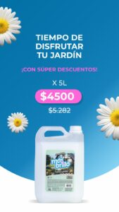 MAS BRILLO6