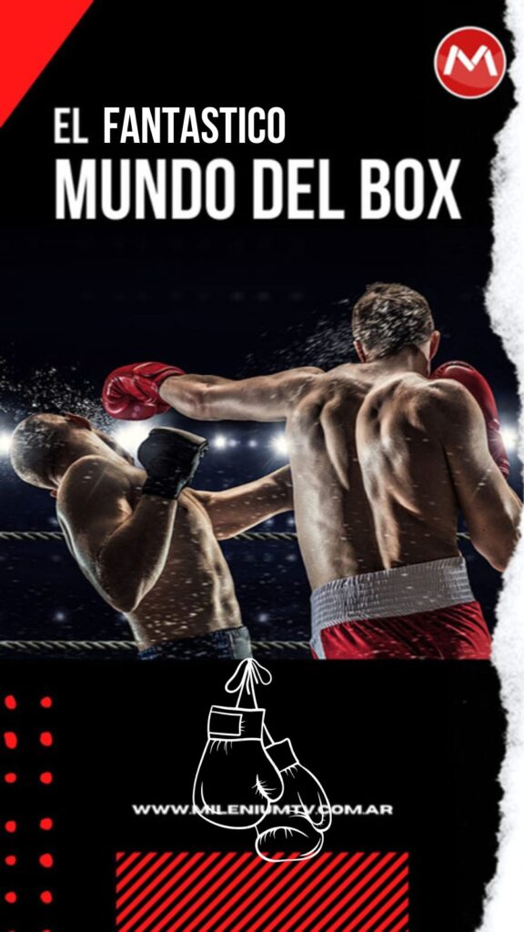 EL FANTASTICO MUNDO DEL BOX
