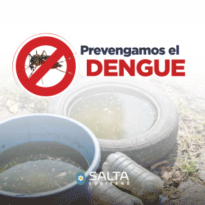 GOBIERNO Dengue 300x300